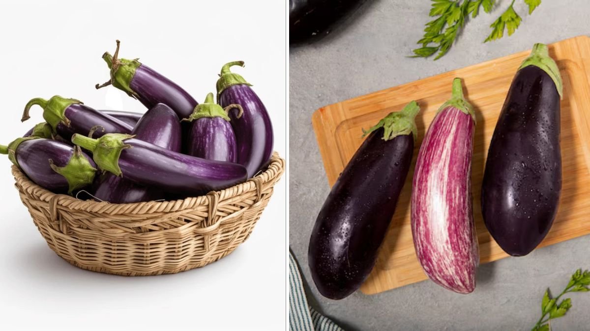 Bucket Gardening Success: How I Got My Best Eggplant Harvest Ever in Small Spaces