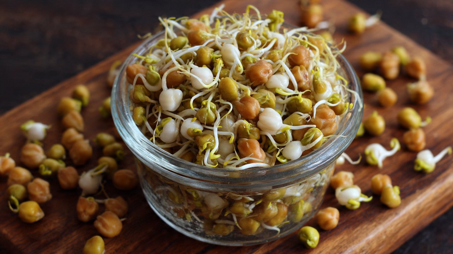 How to Grow Coleus Border Plants for Stunning Garden Decor