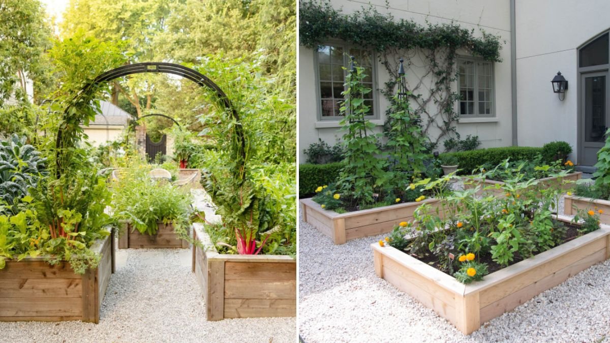 7 Amazing New Kitchen Gardens | Ideas & Inspiration for Gardeners in 2026