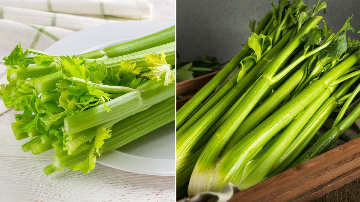 The Simple Celery Storage Trick That Keeps It Crisp for 3 Weeks