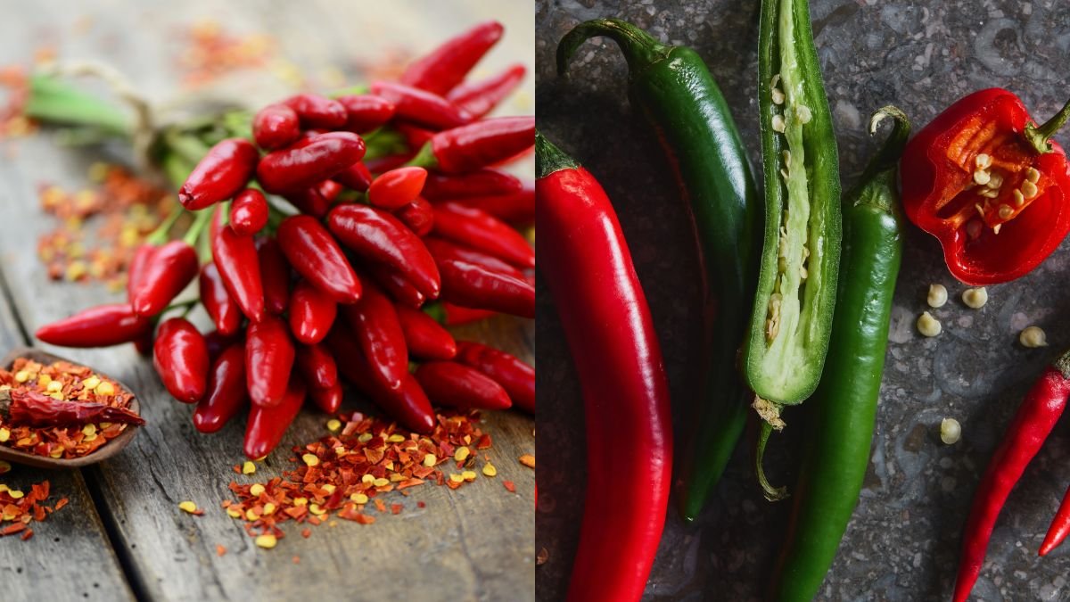 Why Didn’t I Know About This Chili Earlier? It’s Super Sweet and Full of Fruits