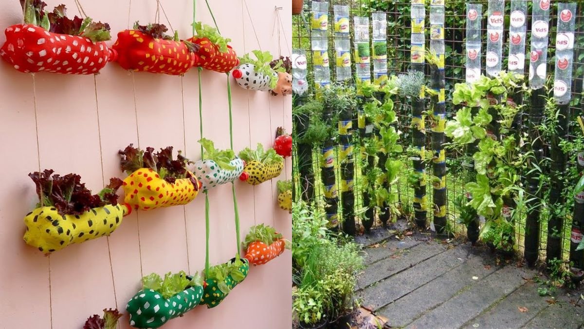 Vertical Vegetable Garden From Plastic Bottles — Super Easy DIY You Can Make at Home