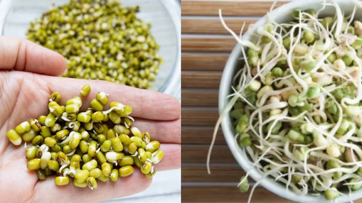 First Time Making Bean Sprouts From Peanuts — Surprising Results and Delicious Benefits