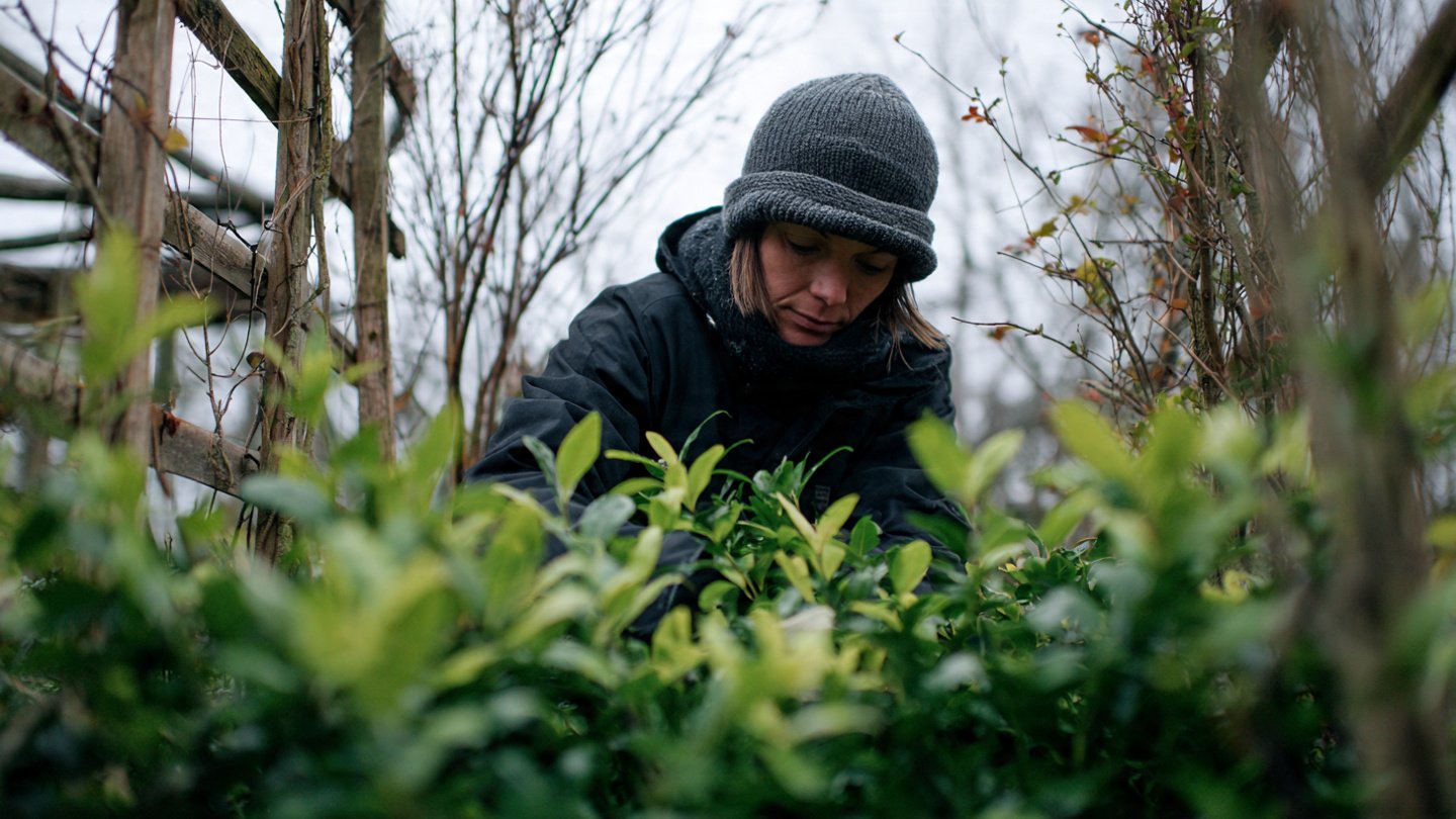 How Can a Garden Label Help You Identify Plant Varieties Effectively?