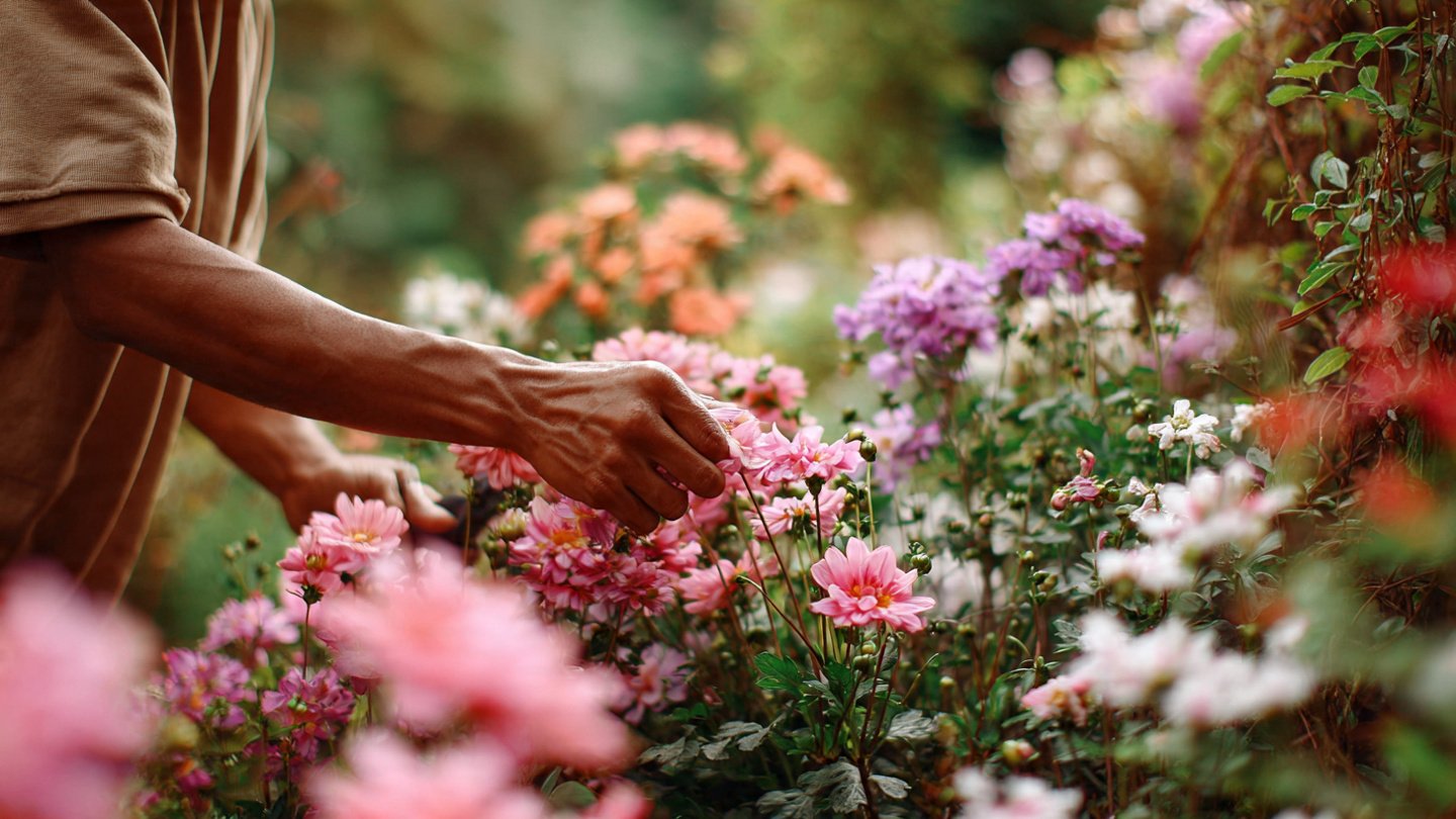 How Can One Simple Trick Transform Your Budget Garden into a Million-Dollar Oasis?