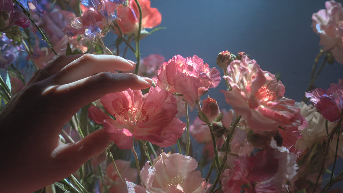 The Fascinating Reaction of Flowers to Gentle Human Touch