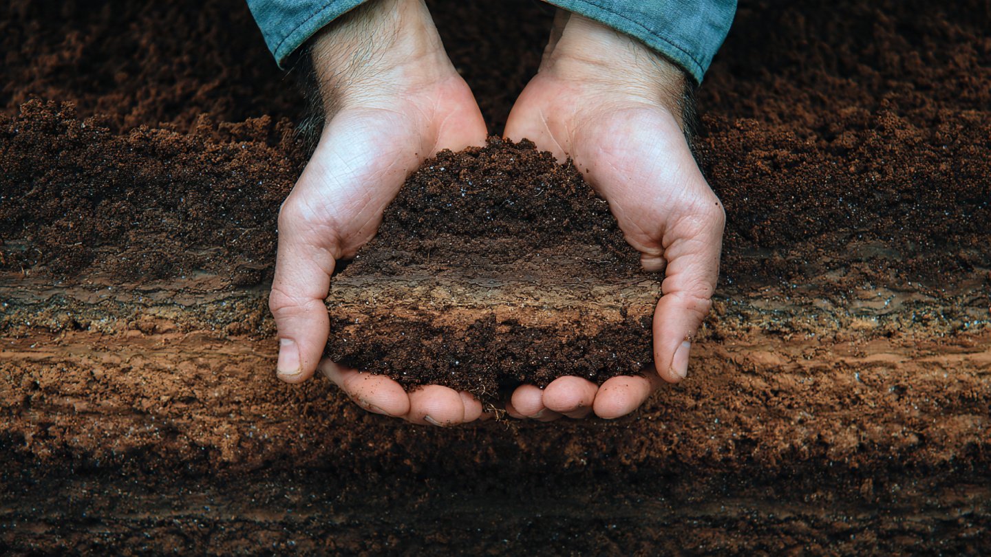 Unlocking Soil Layering Secrets for Maximum Harvest Yields